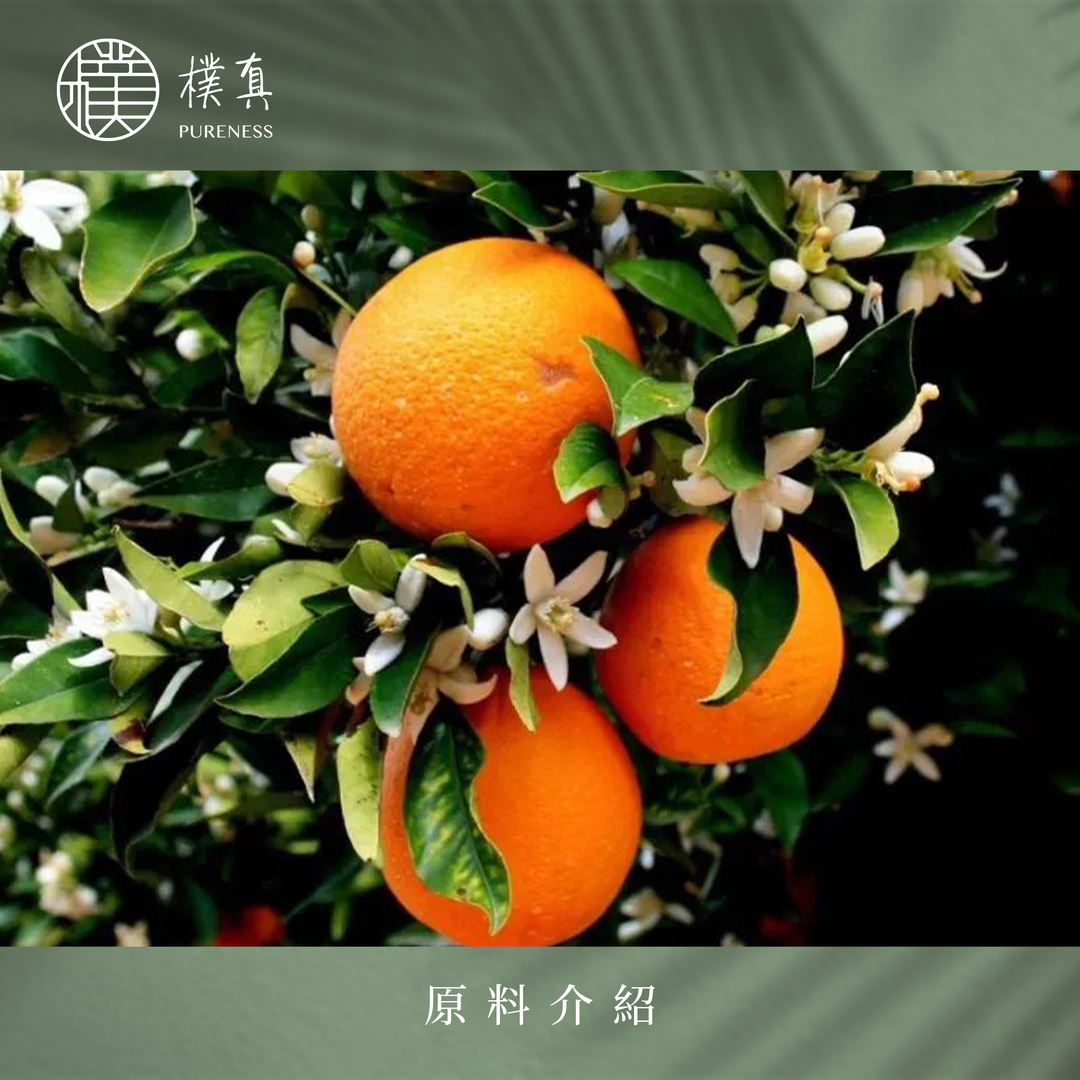 樸真官網分頁圖-苦橙葉