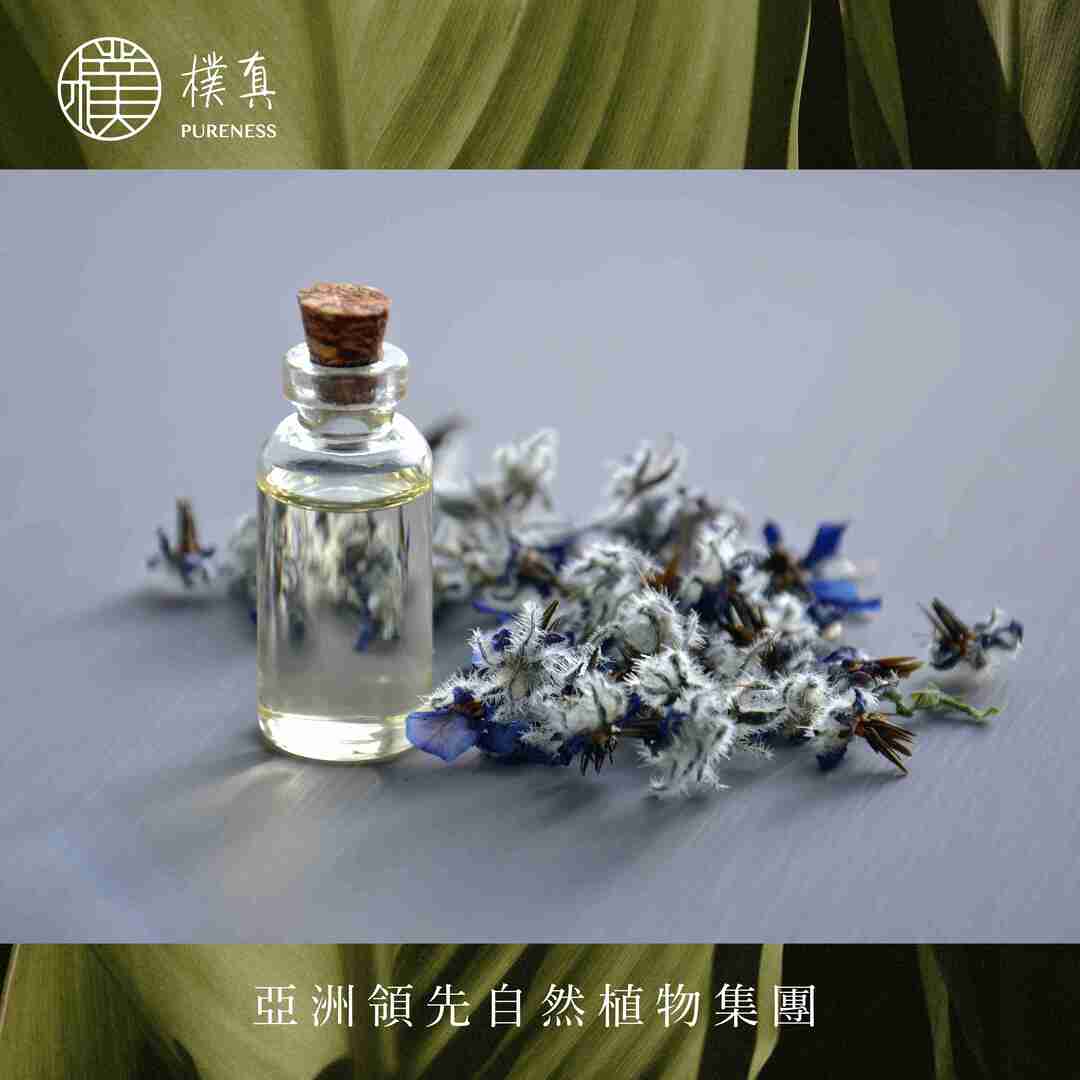 樸真官網分頁圖_精油造成性早熟