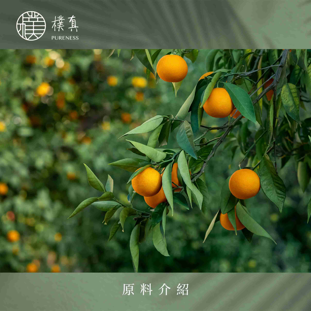 甜橙