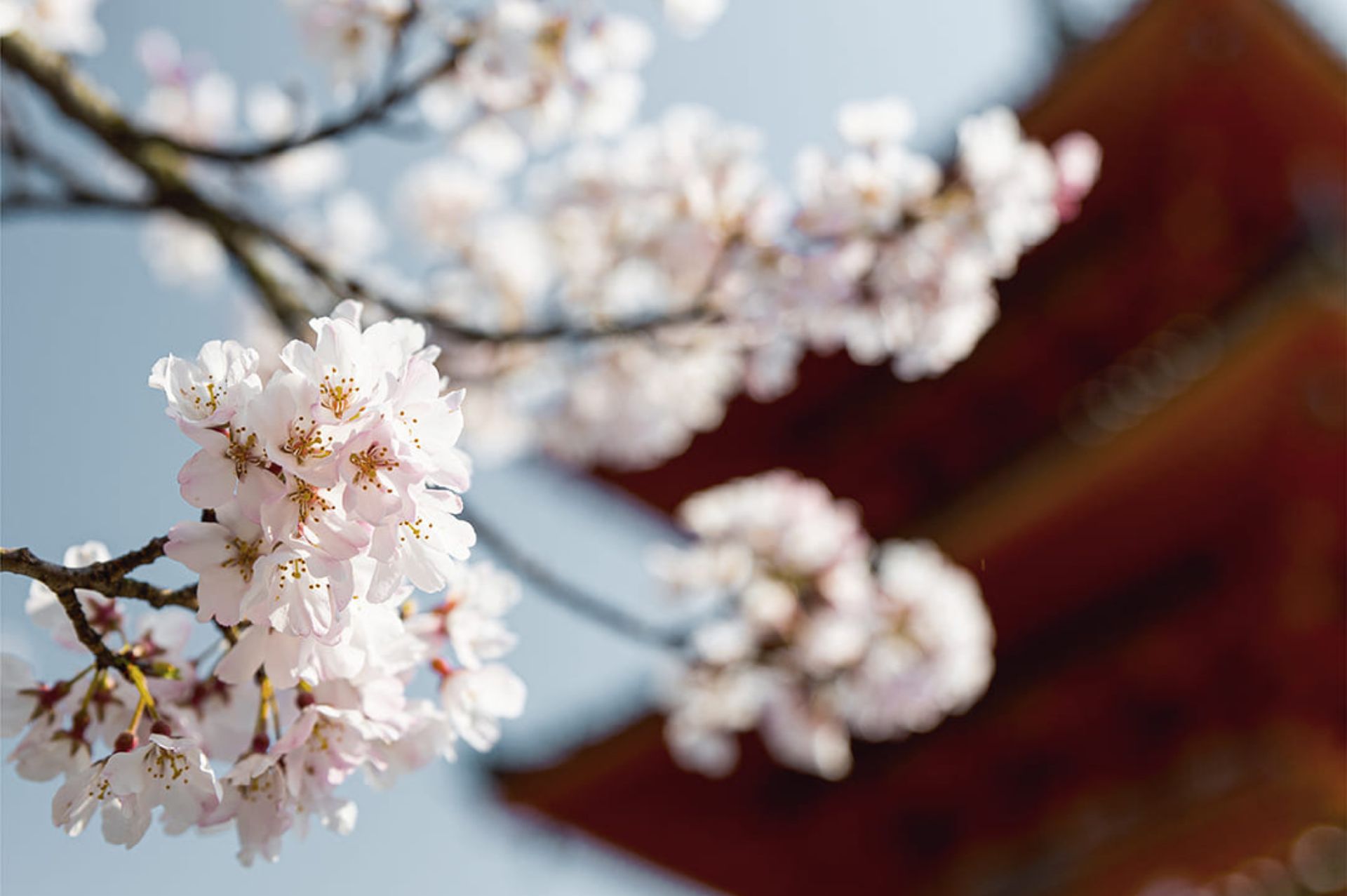 古典華麗的東方香 The Classic and Luxurious Oriental Scents
