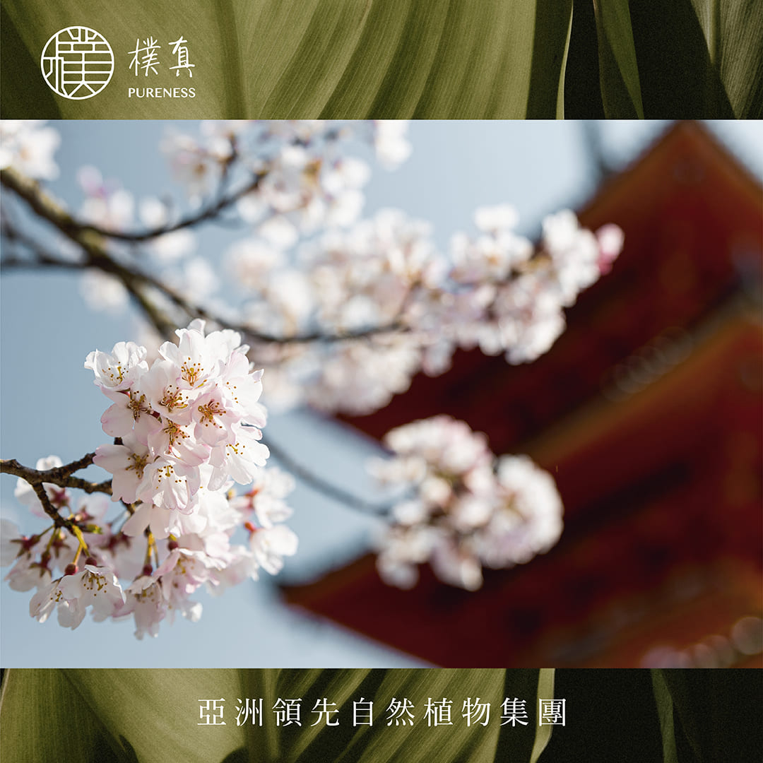 樸真官網趨勢分頁圖_古典華麗的東方香調