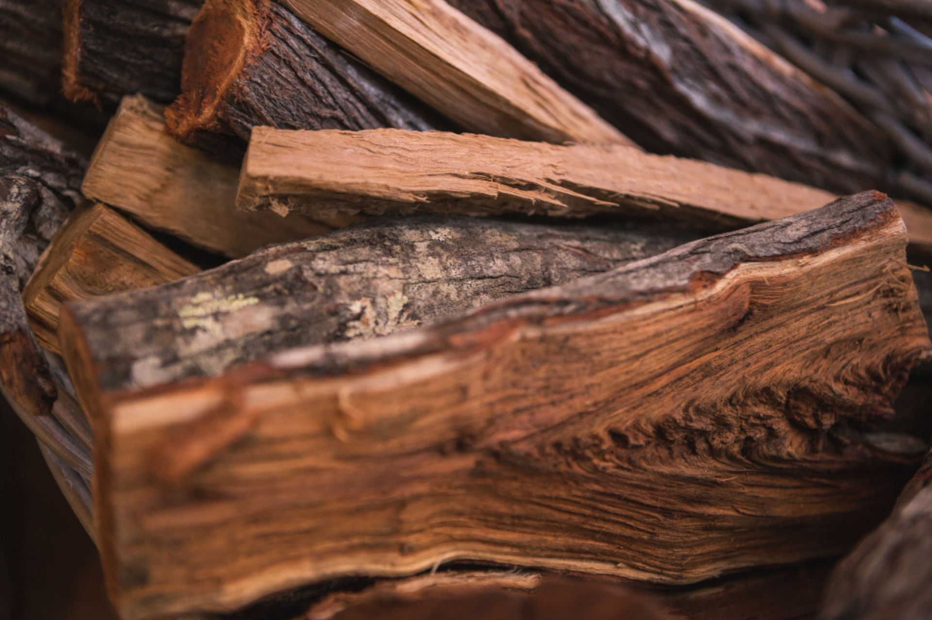 原料介紹｜檀香(Sandalwood) - 樸真精油專家